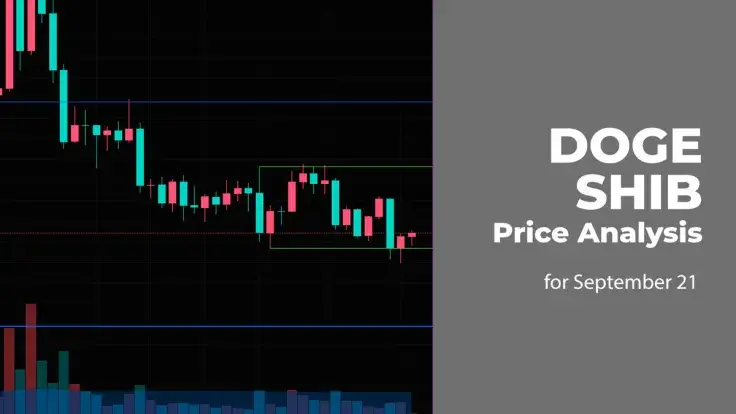 DOGE and SHIB Price Analysis for September 21