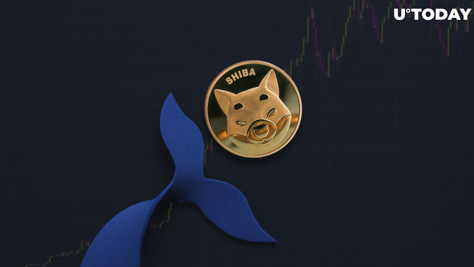 Here's Why Top Whales Sold 1.4 Trillion SHIB, According to Fresh Trading Data