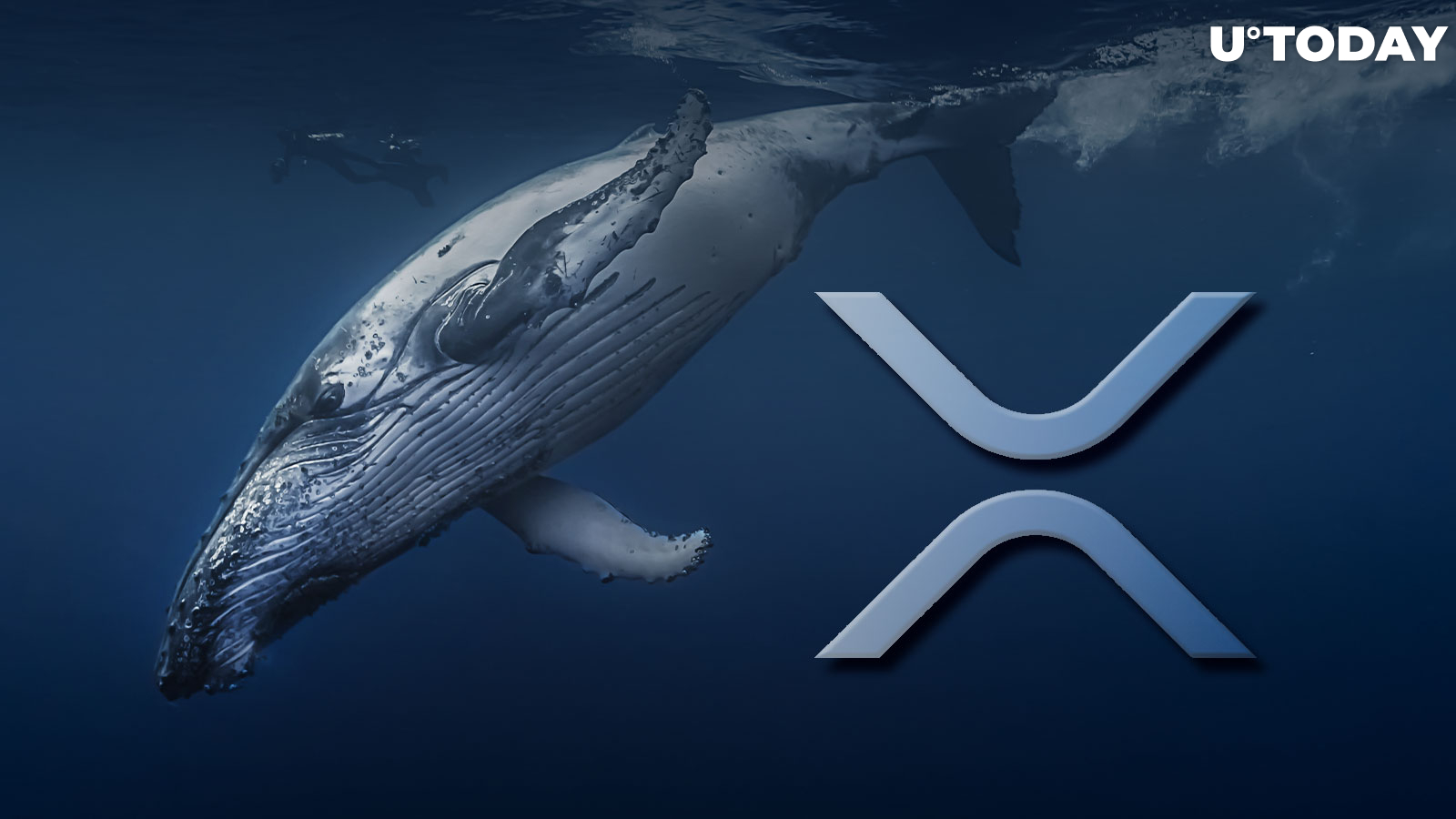 Here's How XRP Whales Have Acted for Last 2 Years as XRP Sets One-year Record Against Bitcoin