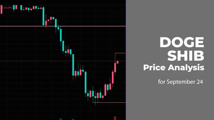DOGE and SHIB Price Analysis for September 24