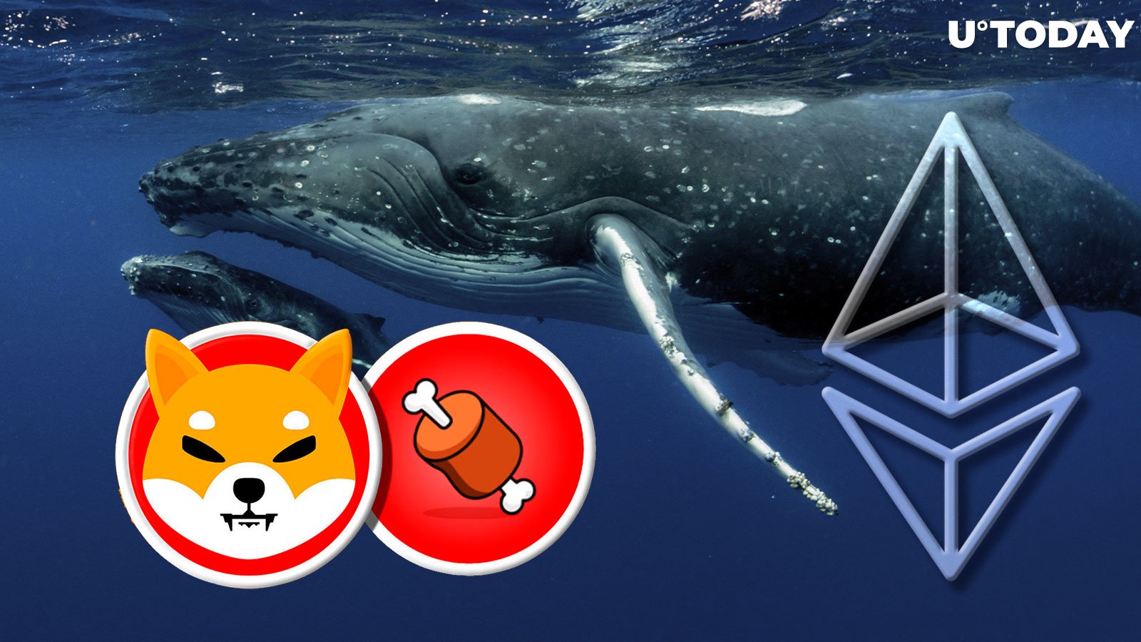 Shiba Inu's BONE Gains Solid Traction Among Ethereum Whales: Details
