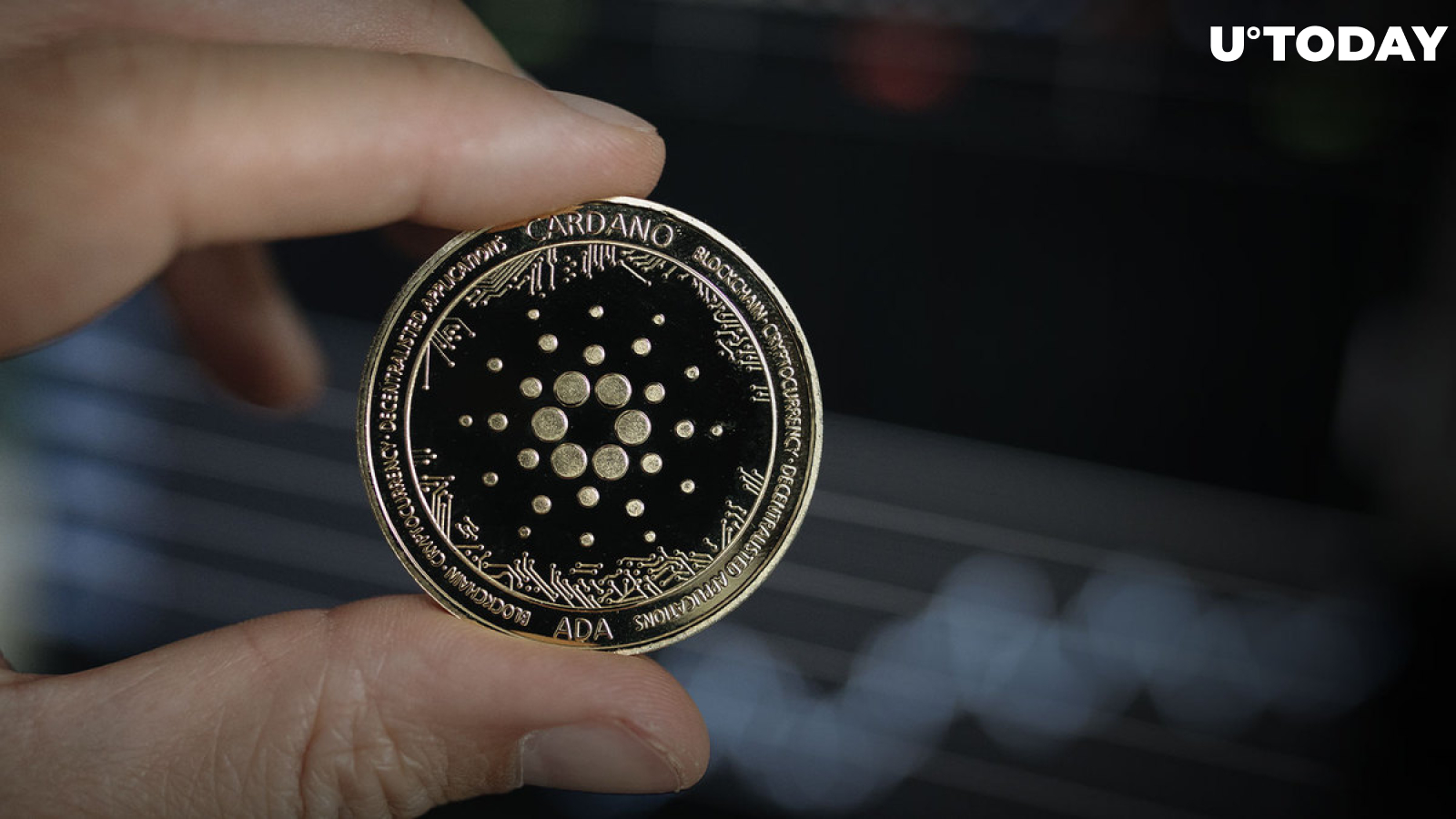Cardano: Backlash Arises over Funding of Wallet "Daedalus Turbo," Here's Reason