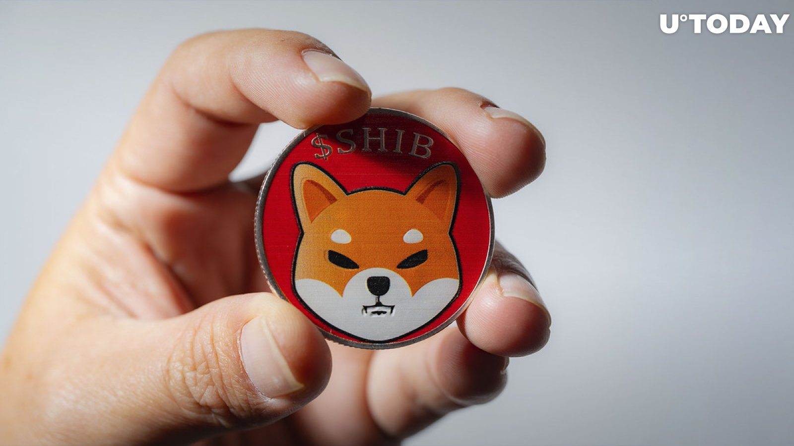 Shiba Inu (SHIB) Payments Now Accepted by 3rd Largest US Furniture Retailer: Details