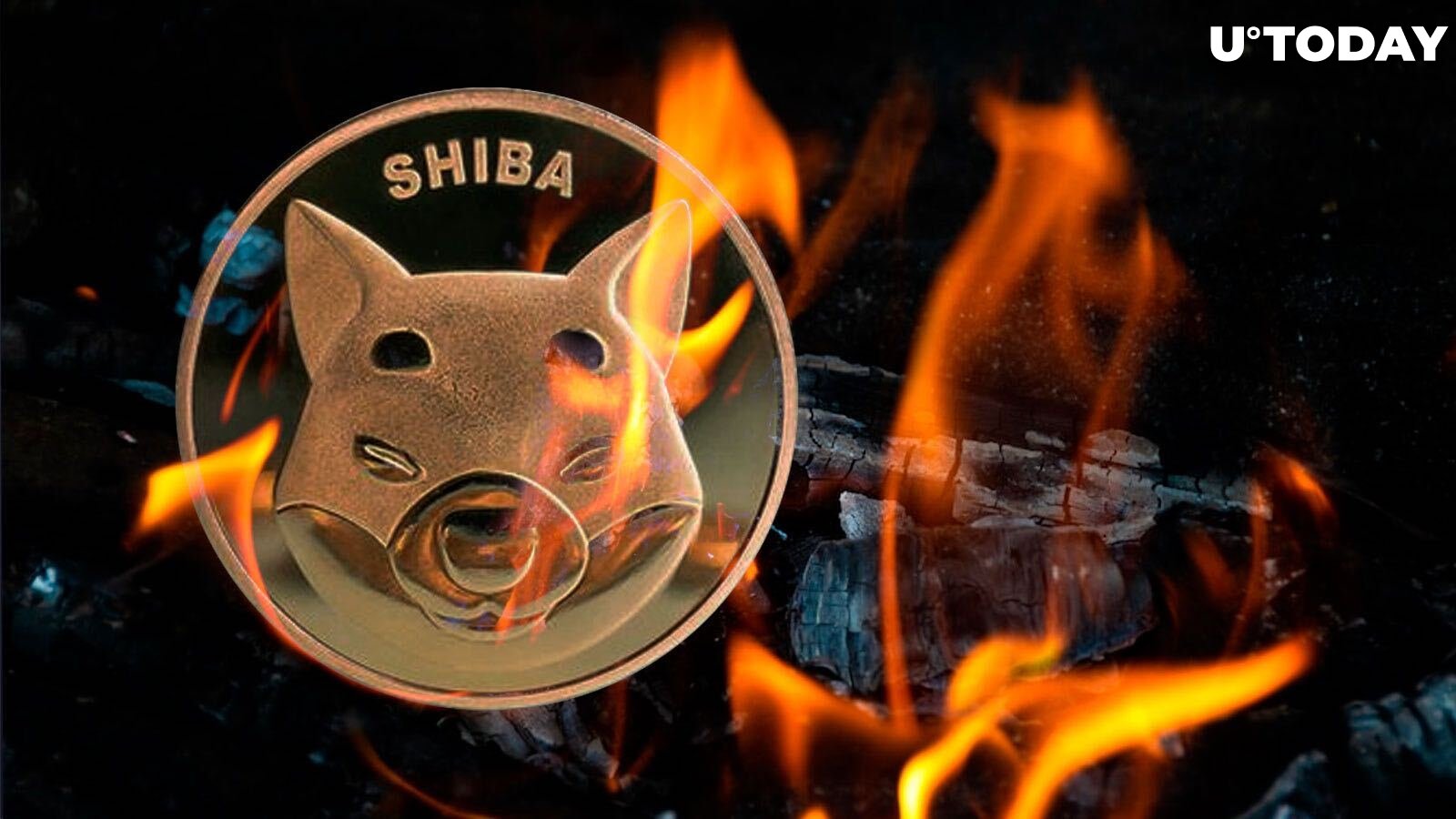 Shiba Inu Records 3.6 Billion SHIB Burned in August with Only 59% of Initial Supply Left