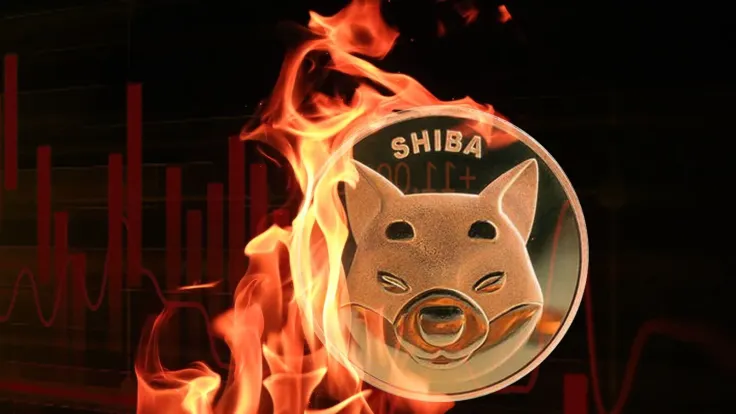 Shiba Inu Burning Amount Declines in September With 272 Million SHIB Burned Past Week
