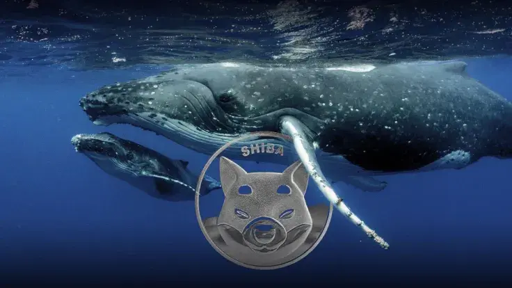 Shiba Inu Whale Spends $2 Million on SHIB, Taking Advantage of 8% Drop