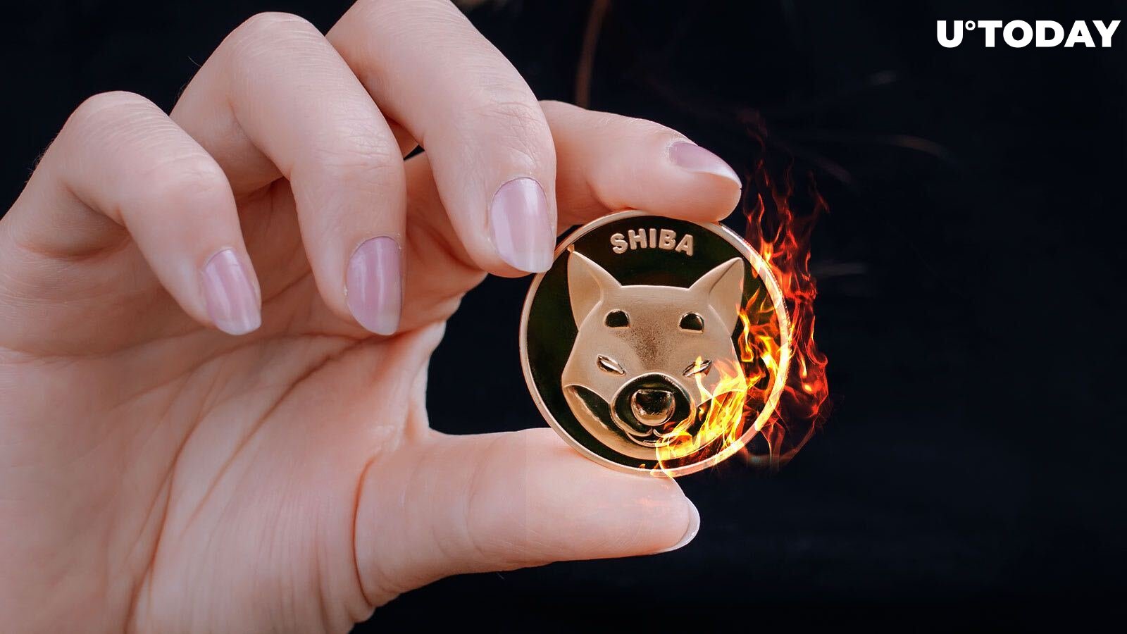 Shiba Inu Lead Developer Provides Important Update on SHIB Burning Mechanism