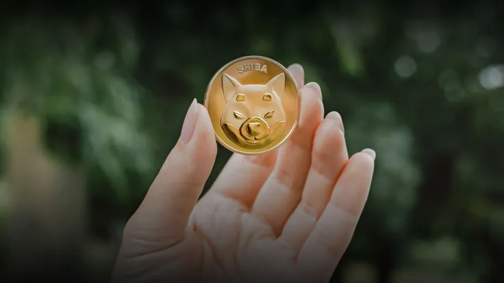Here’s Where Half of Shiba Eternity Profits Will Go