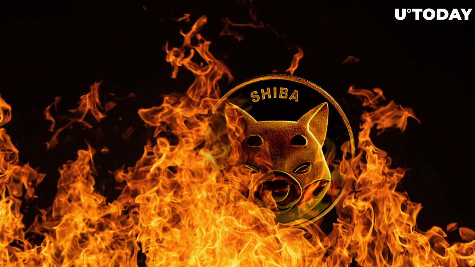 Half Billion SHIB Sent to Dead Wallets in Past Week, but Burning Is Not as It Used To Be