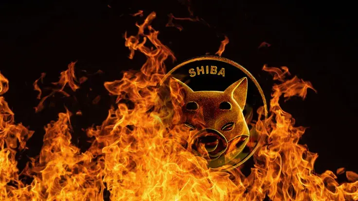Half Billion SHIB Sent to Dead Wallets in Past Week, but Burning Is Not as It Used To Be