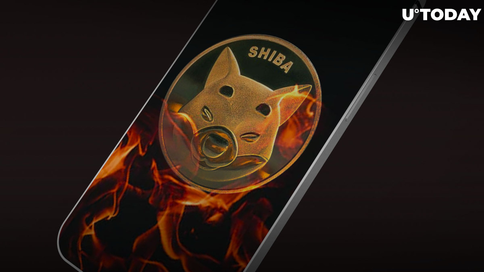 Mysterious SHIB Wallet Burns 40 Million Meme Coins, Here's Who Removed These SHIB