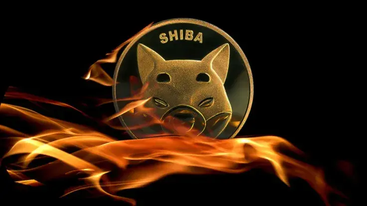 3 Ways to Burn SHIB Named by This Prominent Burner: Report