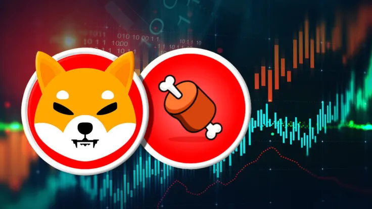 Shiba Inu's BONE Sees 205% Rise in Volume as Price Tumbles, What's Happening?