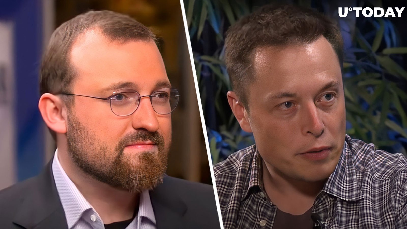 Charles Hoskinson Can't Wait for Elon Musk to Take Over Twitter, Here's Why
