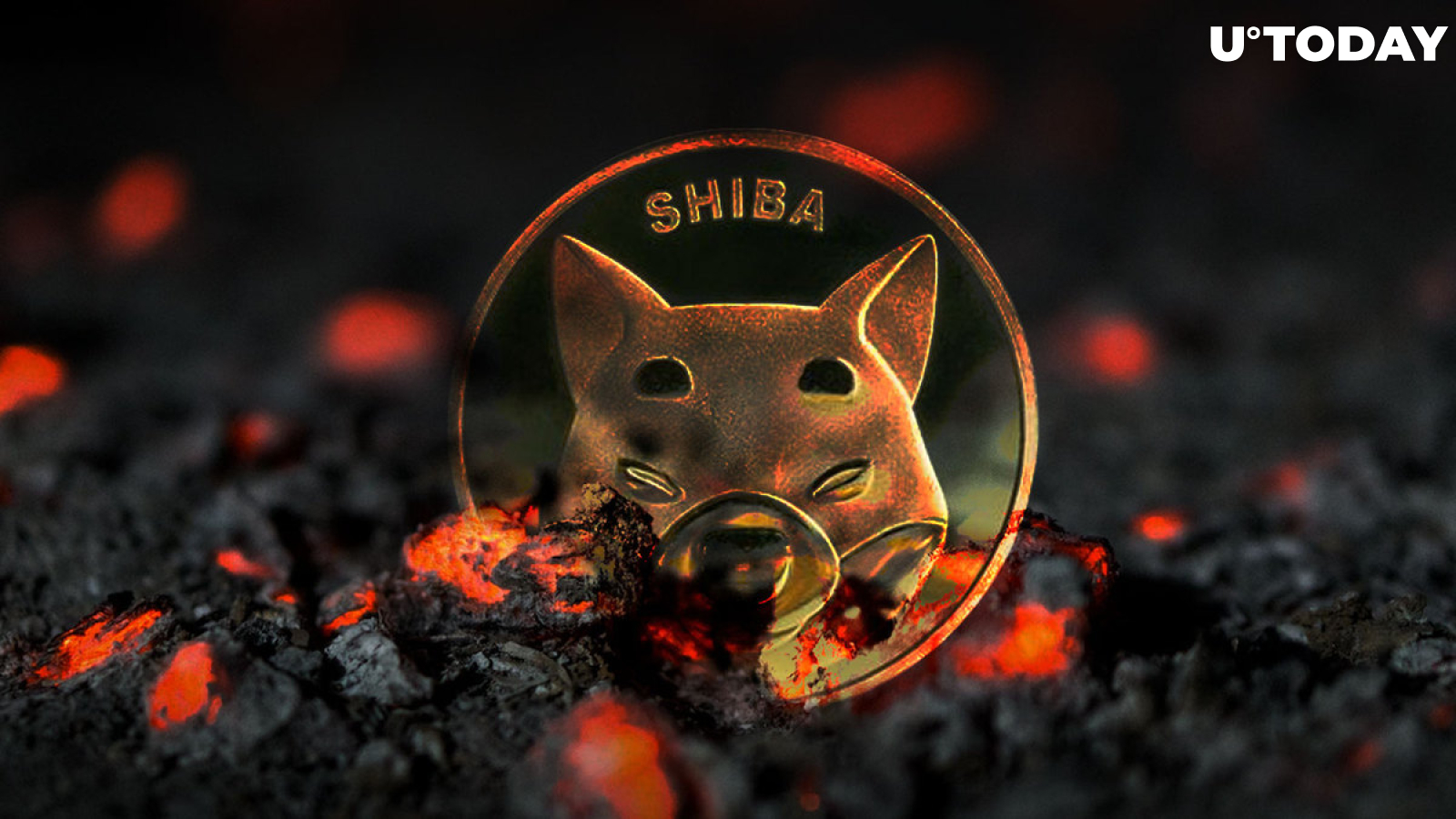 SHIB Burns Plunge to 2 Million in Past 24 Hours, What’s Happening?