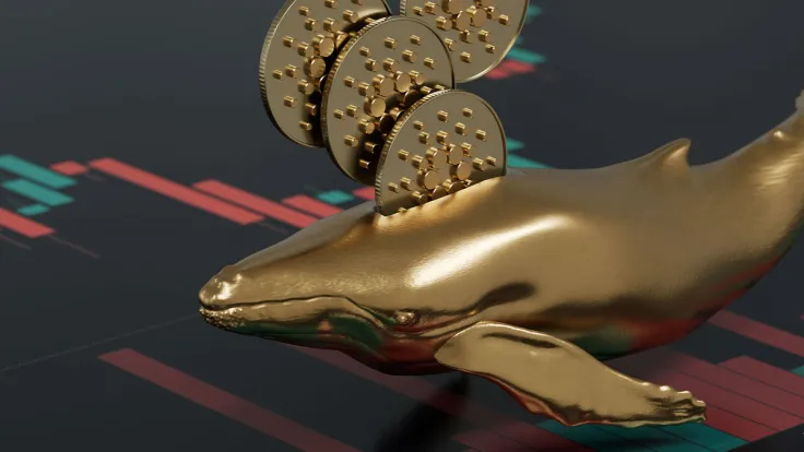 ADA Emerges Among Top 10 Most-Purchased Assets as Whales Hold $5 Million in It