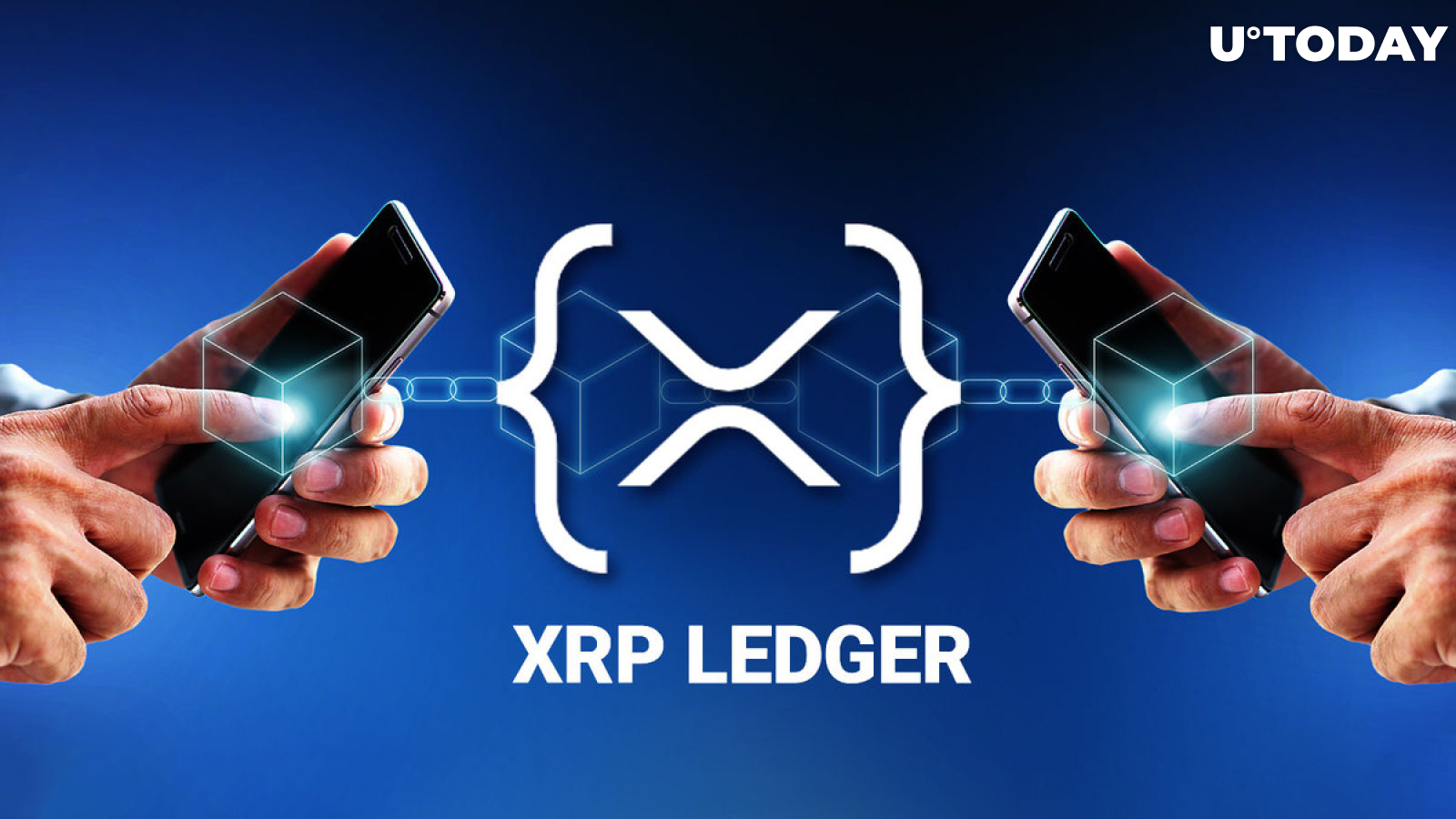 Here's How To Build XRPL Smart Contracts on Testnet