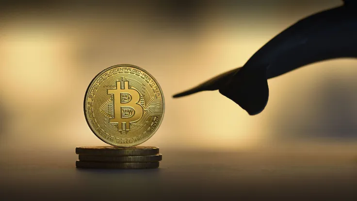 Mysterious Bitcoin Whale Allocated Almost 5,000 BTC Since Mid-September
