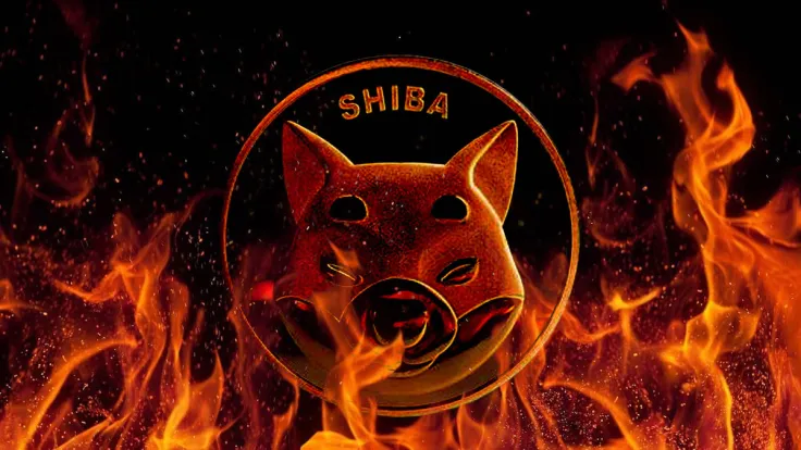SHIB Burn Rate Soars 395% as 155 Million Tokens Got Removed Last Week