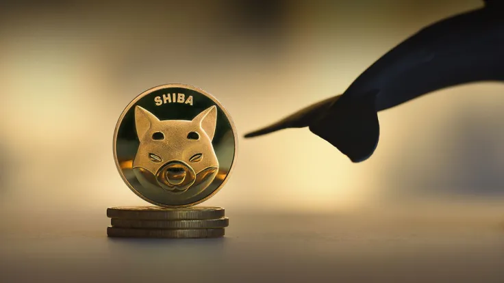 Shiba Inu (SHIB) Largely Held by Whale Class for This Reason: Details