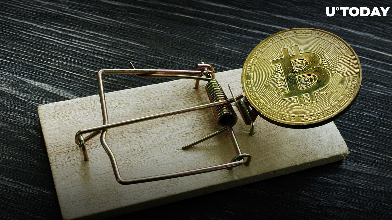 Bitcoin Investor Loses to Giveaway Scam, Here's Surprising Amount Lost