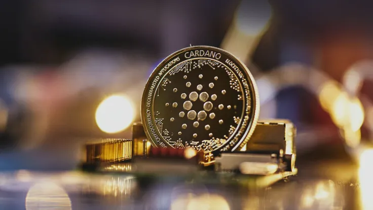 Cardano DEX Sets New Record Mere Weeks After Vasil, Here It Is