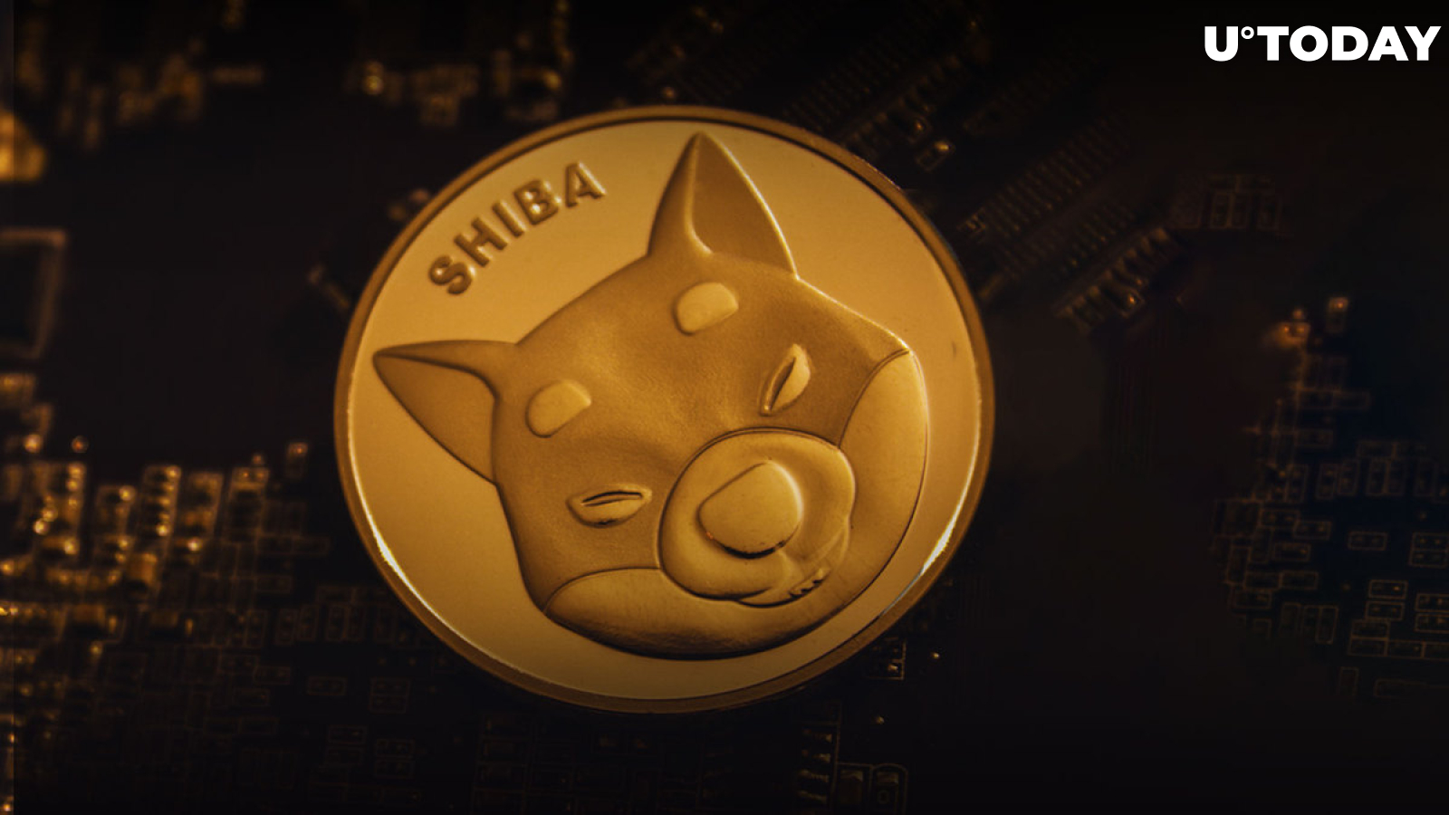 SHIB Gains 1,000+ New Holders Within One Day, Reaching New ATH: Details