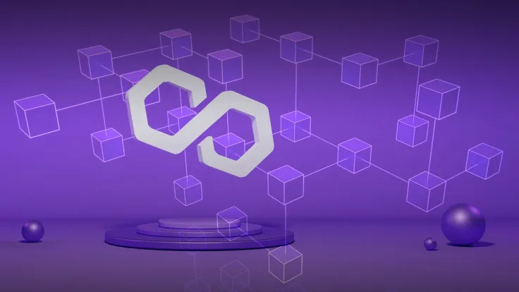 Polygon Co-founder: Blockchains Do Not Solve Any New Problems