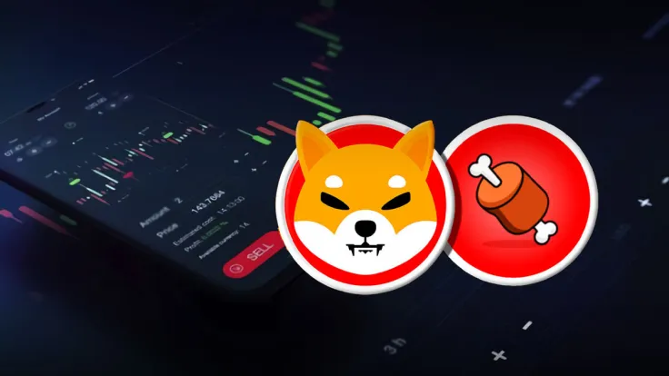 Shiba Inu Token Surges 8%, But It's Not SHIB