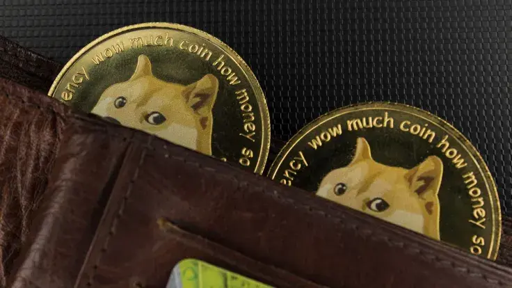 Whales Grabbing DOGE Frantically as Its Trading Volume Spikes
