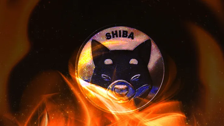 SHIB Burning Extremely Different Since Start of Fall: Details