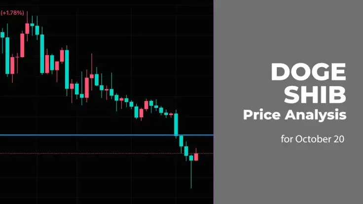 DOGE and SHIB Price Analysis for October 20