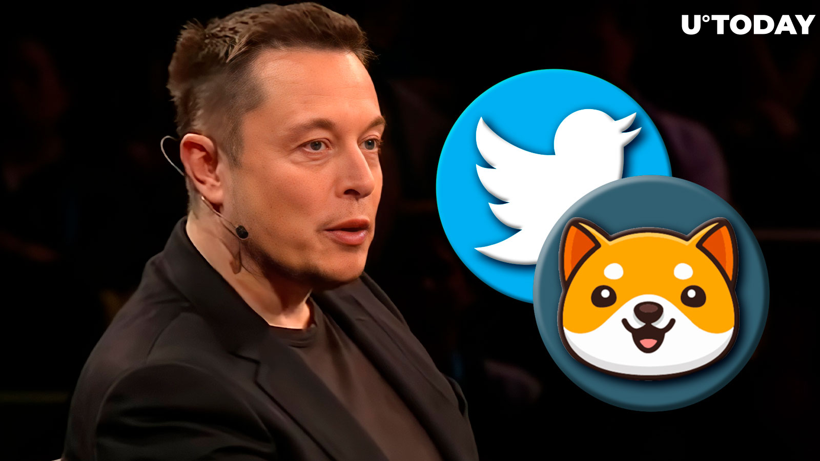 BabyDoge Community Responds to Elon Musk's Tweet, Price Jumps