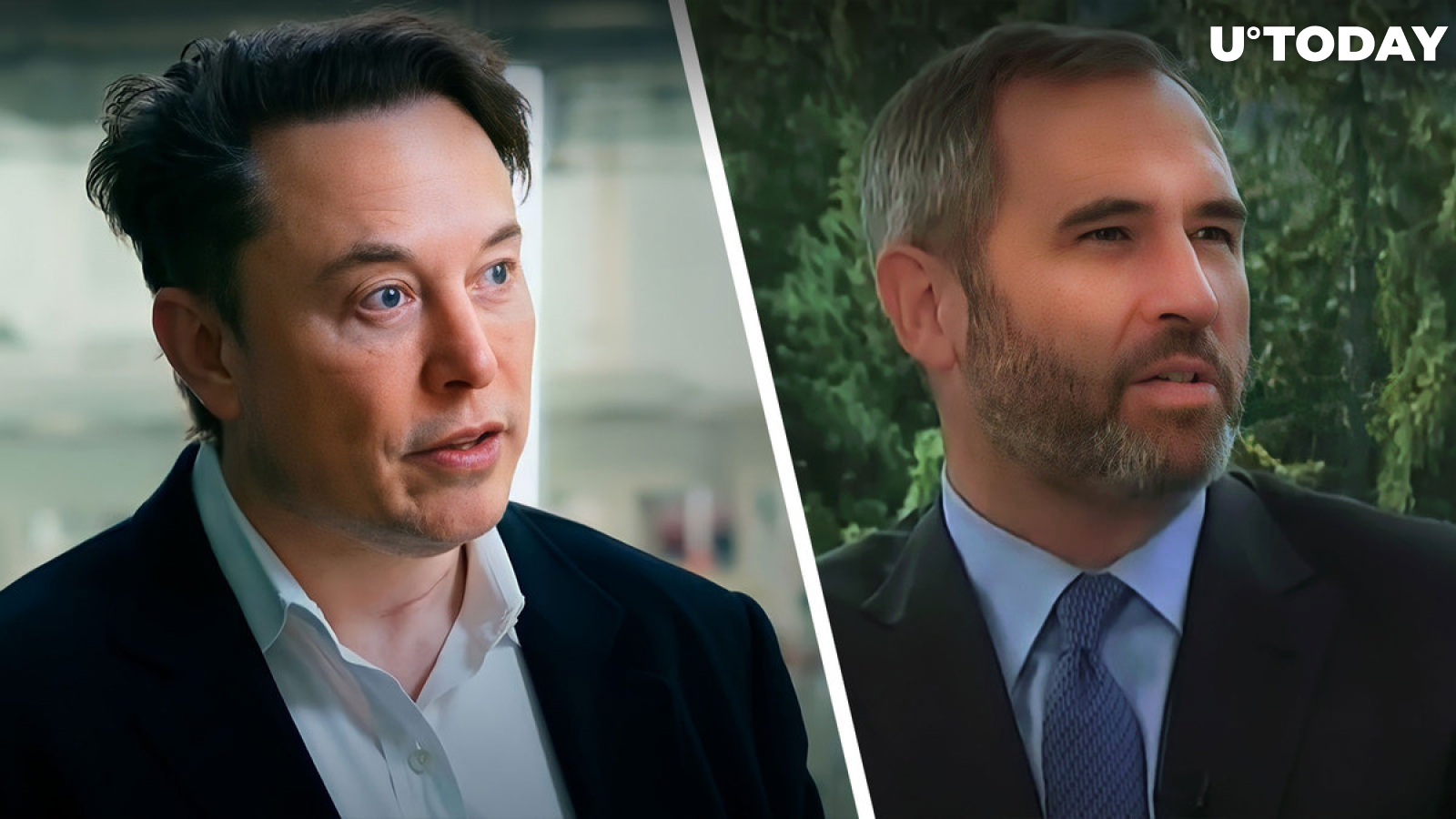 Elon Musk Comments on Ripple CEO's Brutal Statement About SEC