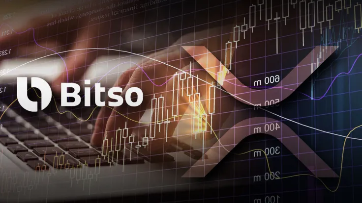 Main XRP Ambassador in LatAm Doubles User Base in Year: Details