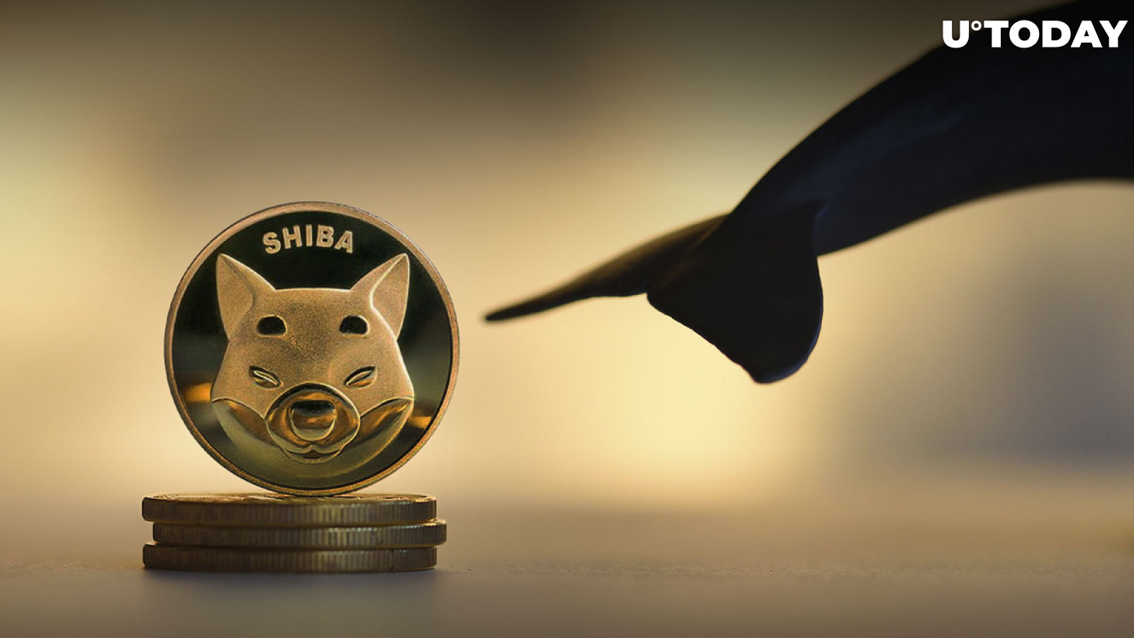 New SHIB Whale Born, Holding 3.3 Trillion Coins