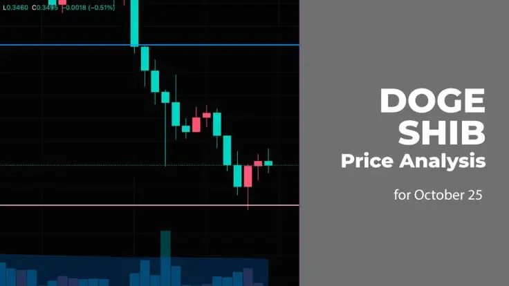 DOGE and SHIB Price Analysis for October 25