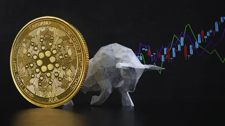 Cardano Is in Midst of Network Activity Bullrun and Daily Transactions, Here's Why