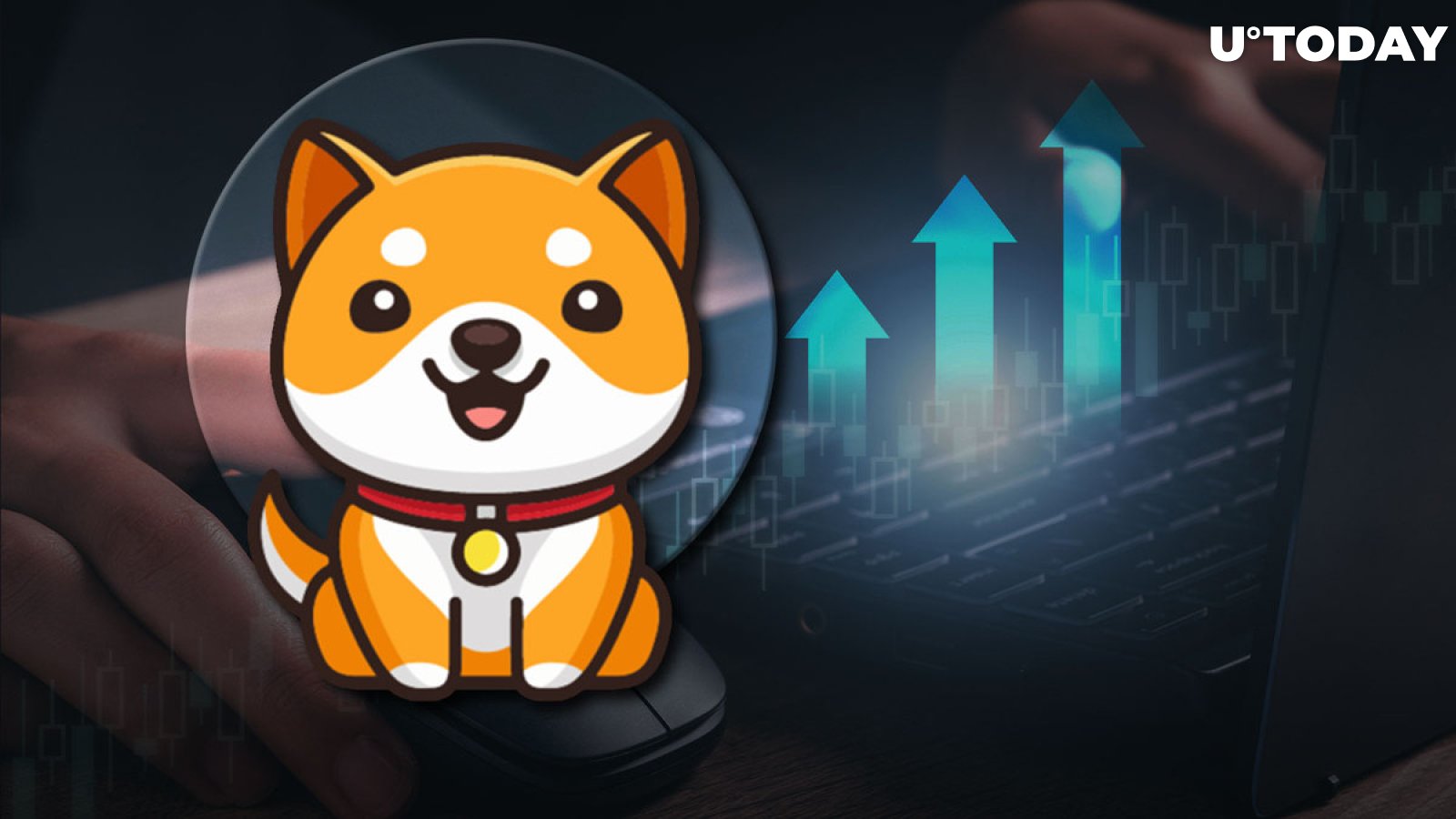 BabyDoge Price Jumps on This New Exchange Listing: Details