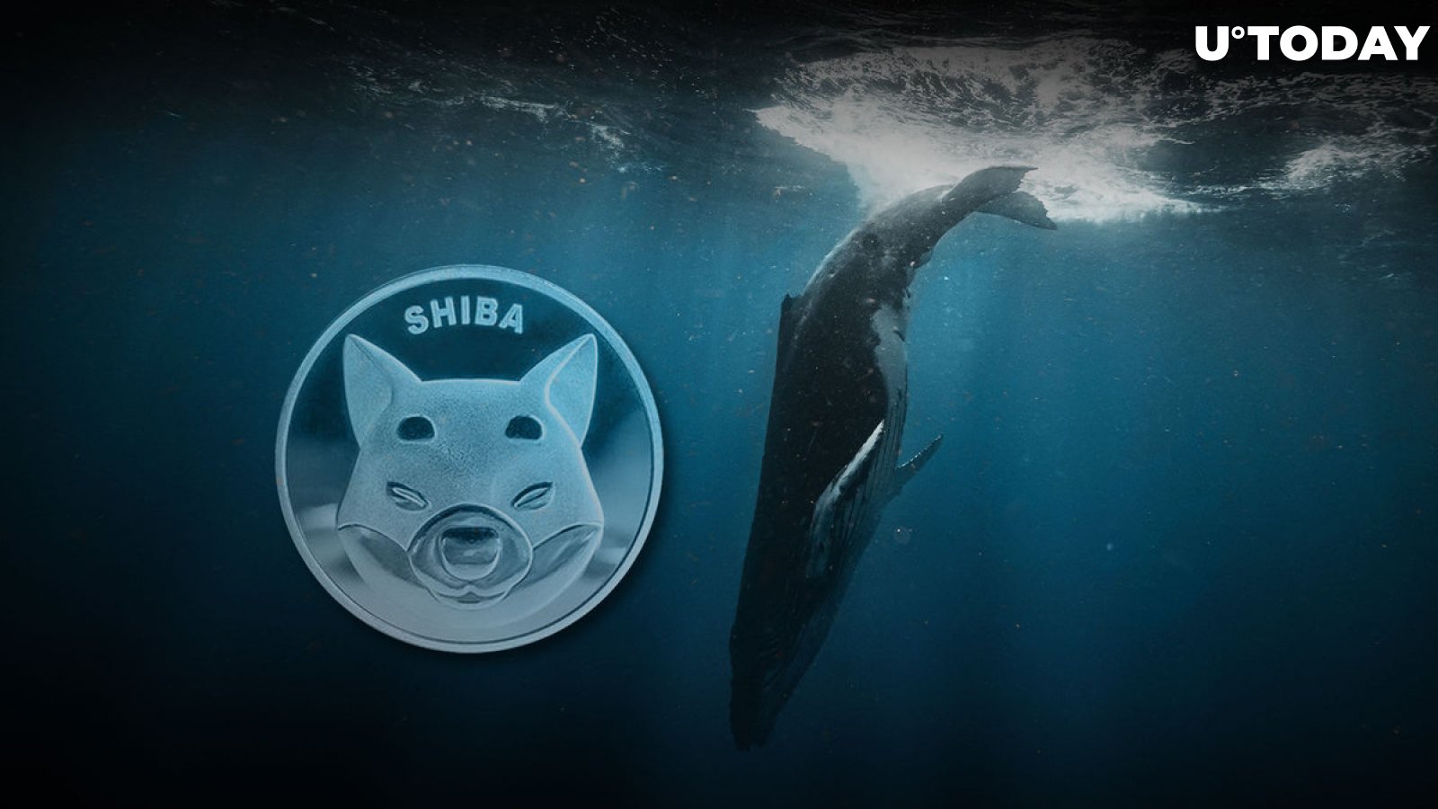 Whale Parts with 3.3 Trillion SHIB, Now Holds Zero Coins: Details