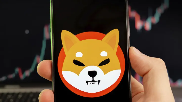Shiba Inu Sets New Milestone in This Long-Term Metric: Report