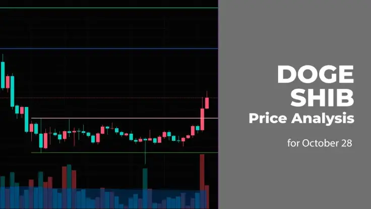 DOGE and SHIB Price Analysis for October 28