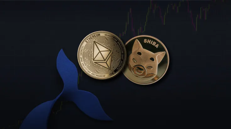 Top ETH Whales Now Hold Less Than $100 Million in SHIB, Despite Recent Price Surge