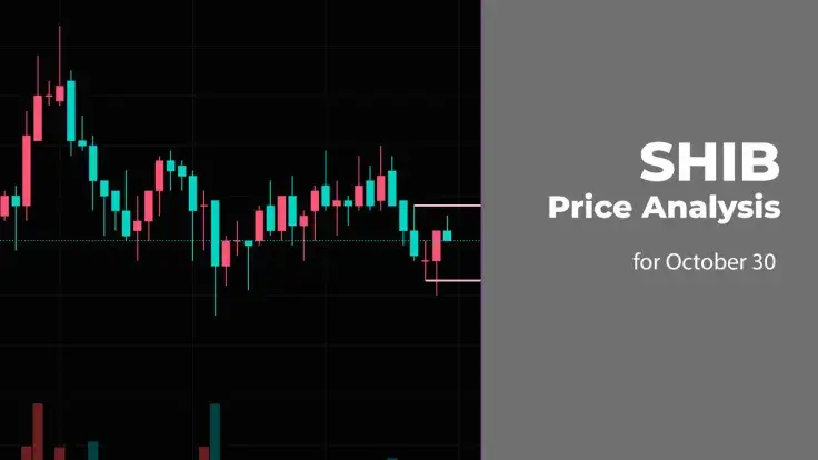 SHIB Price Analysis for October 30