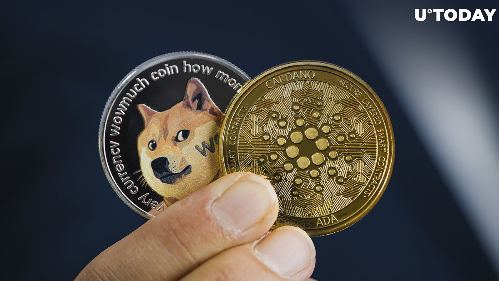 Dogecoin (DOGE) Ahead of Cardano After Explosive Price Performance