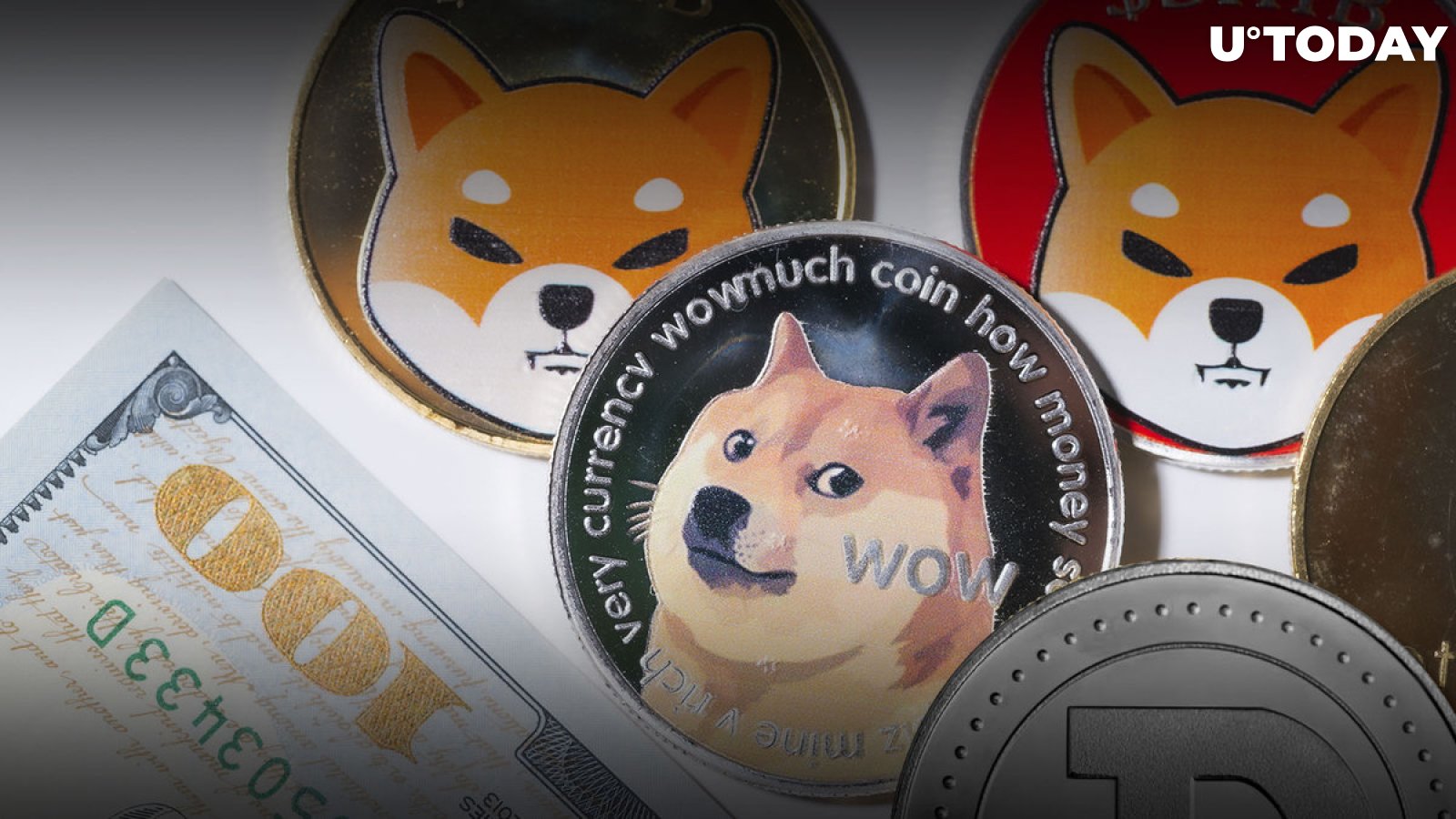 SHIB Price Jumped 7.5% as DOGE Correlation Broke Down, This Is What Happened