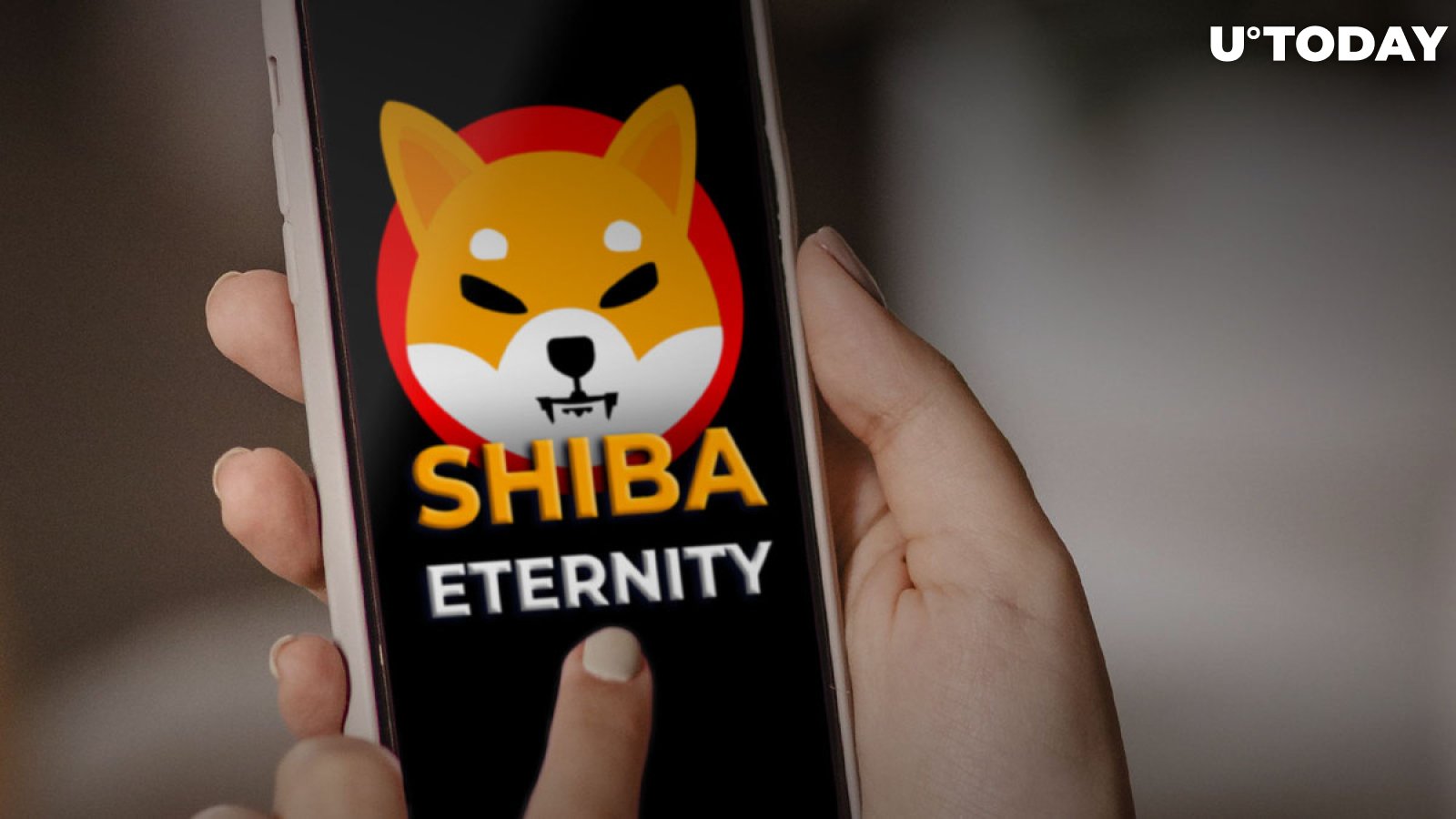 Shiba Eternity Sets New Milestone as Surprise Is Released