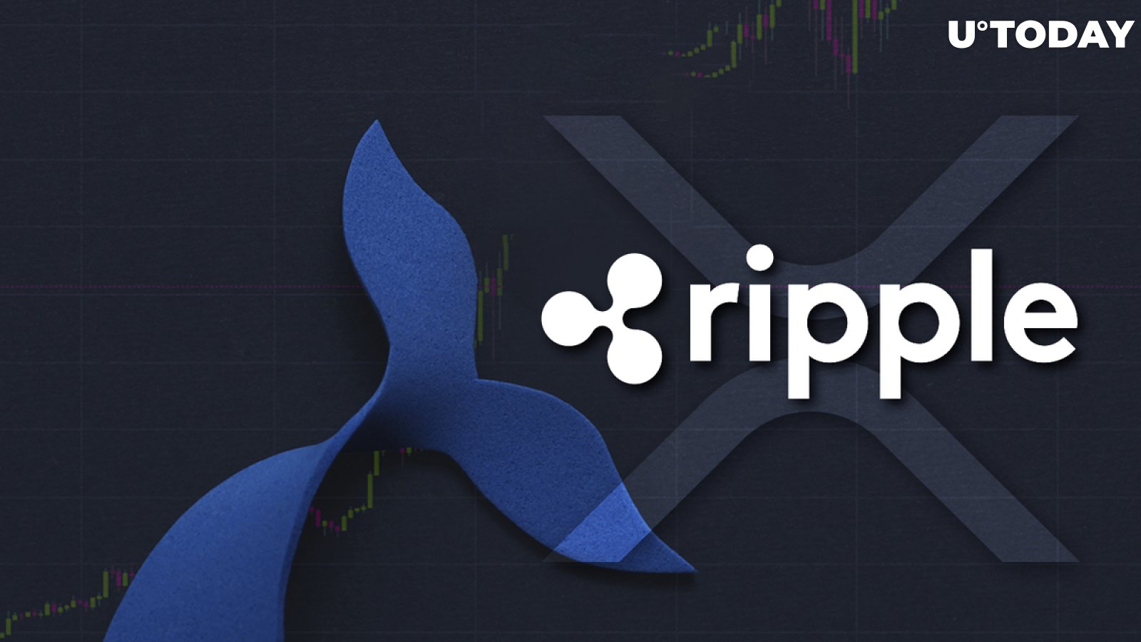 288 Million XRP Wired by Ripple and Whales as XRP Briefly Rises 11.73%