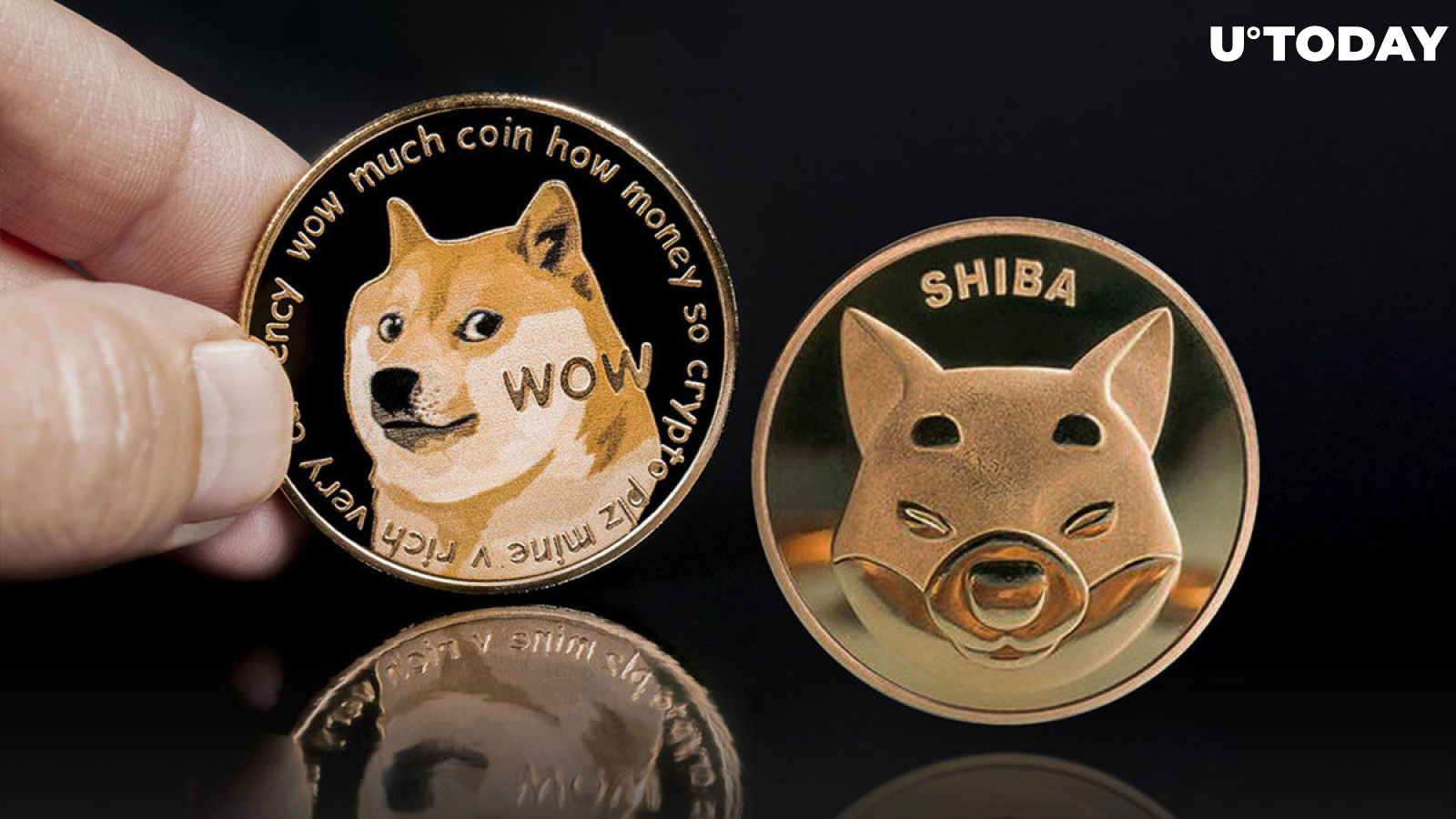 Doge Founder Slams Shiba Inu, Here's What for This Time