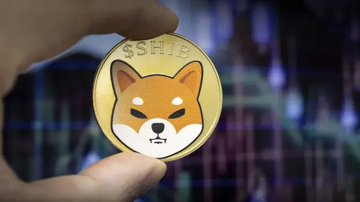 Shiba Inu Shows Strange Trend in This Key Blockchain Metric: Details